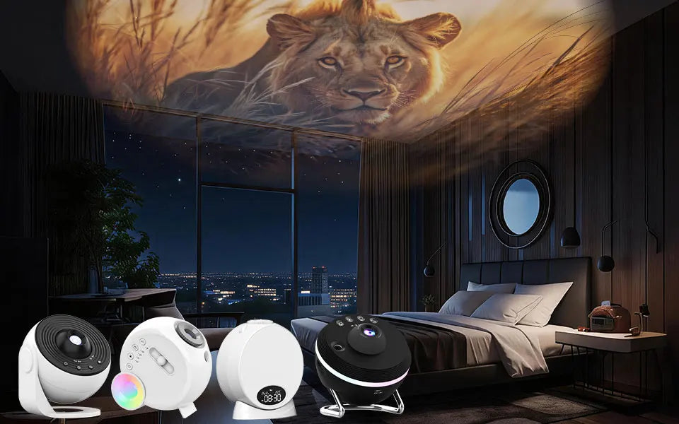 Sternprojektor Nachtlichtscheibe Planetariumsprojektorscheibe 4K HD Galaxy Projektor Lichtscheibe – 6er-Pack (Projektor nicht im Lieferumfang enthalten)